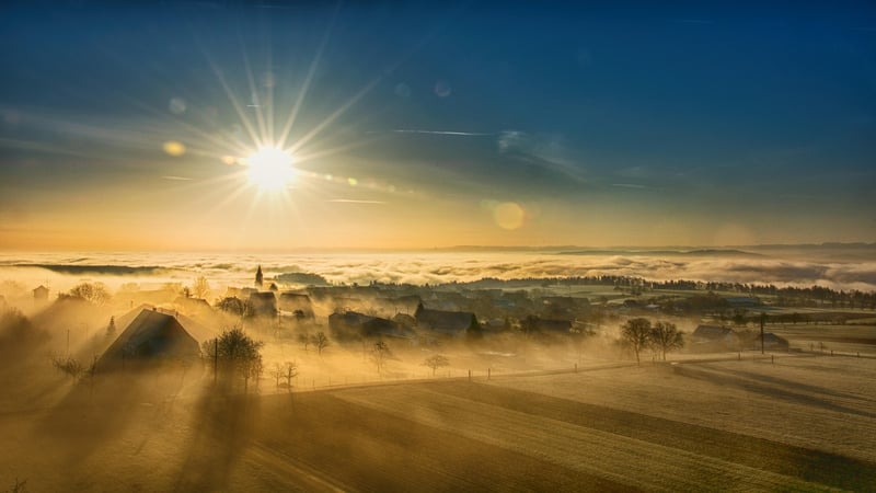 Misty Morning Shots